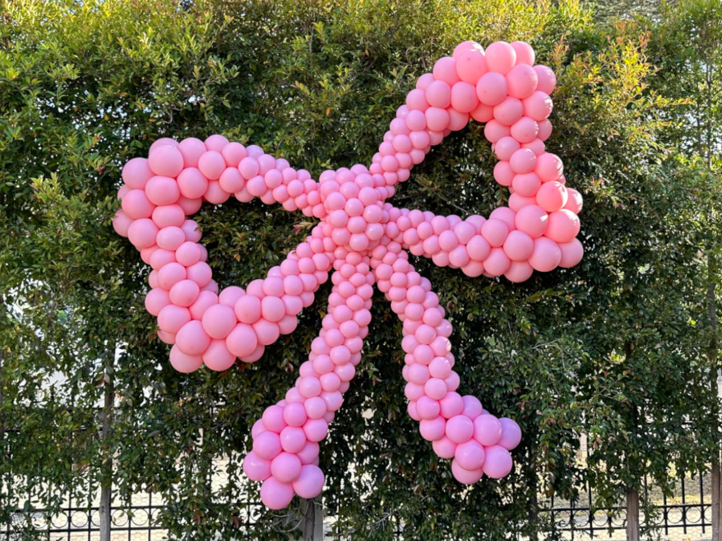 Sculptures – Balloon Celebrations Inc